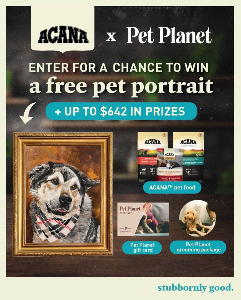 ACANA Contest (Online Only)