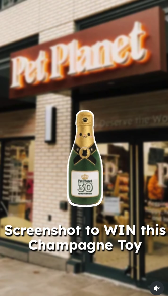 Win a Champagne Plushie!