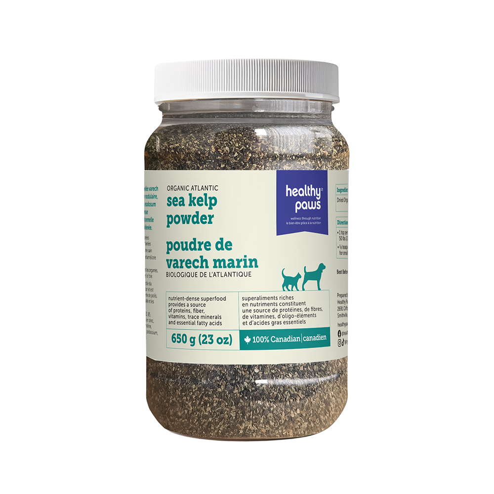 Healthy Paws - Cat & Dog - Ground Kelp
