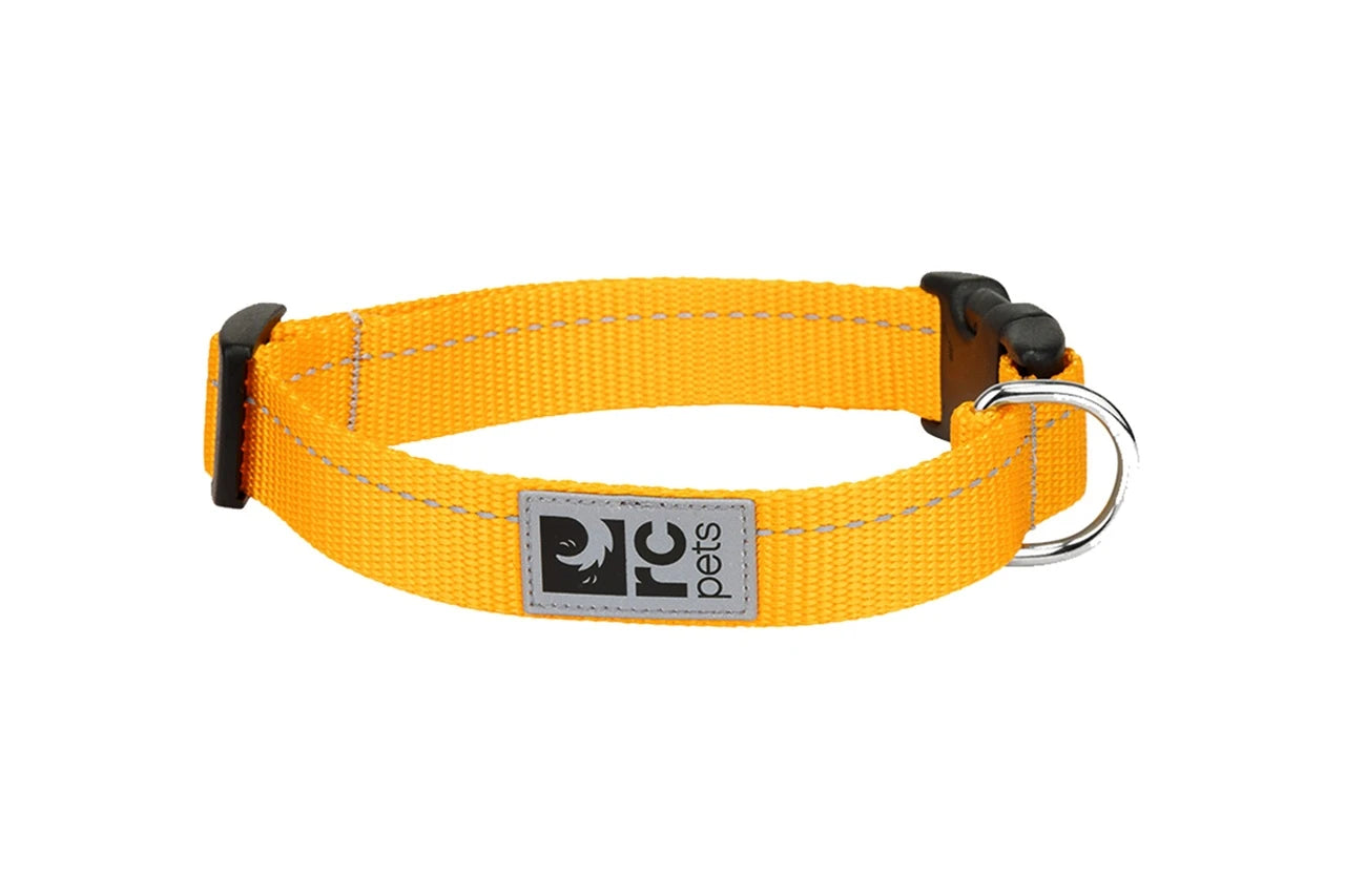 RC Pets - Dog - Clip Collar Primary Marigold