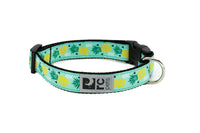 RC Pets - Dog - Clip Collar Pineapple Parade