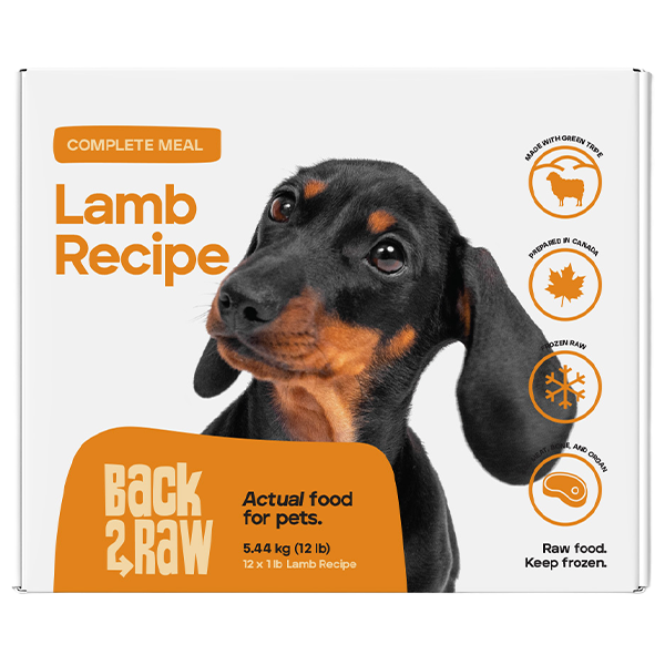 Back2Raw - Dog - Complete Lamb