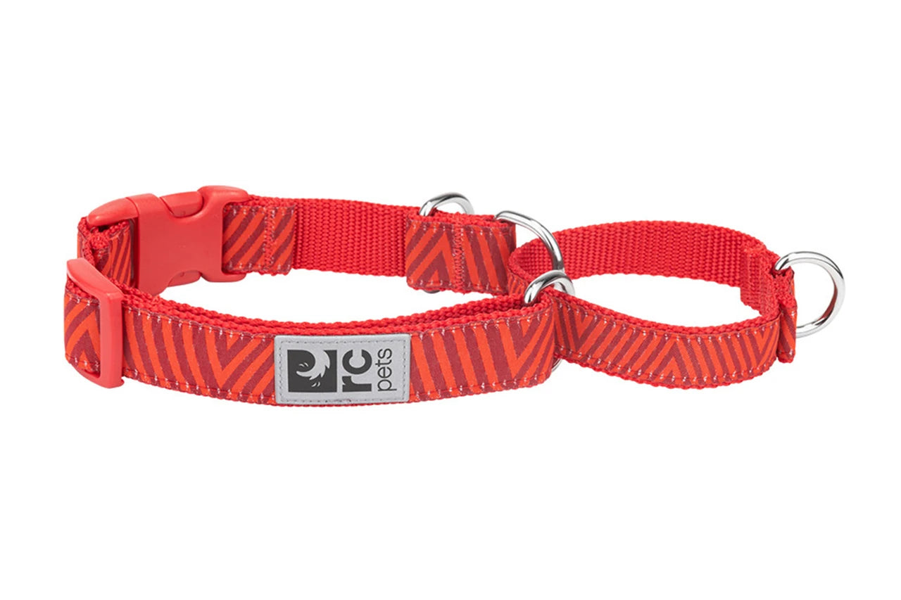 RC Pets - Dog - Easy Clip Web Training Collar Goji Chevron