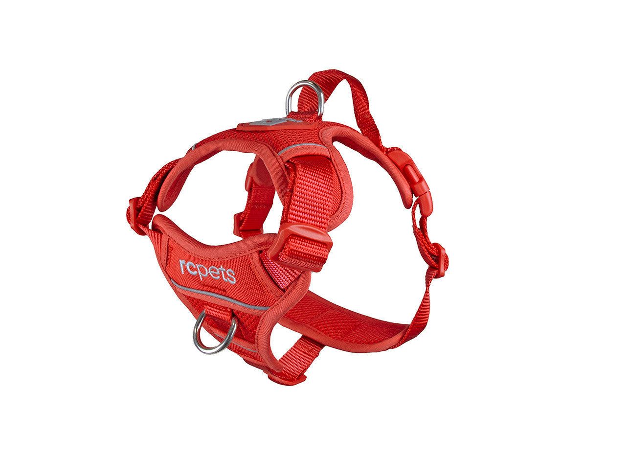 RC Pets - Dog - Momentum Harness Goji Berry