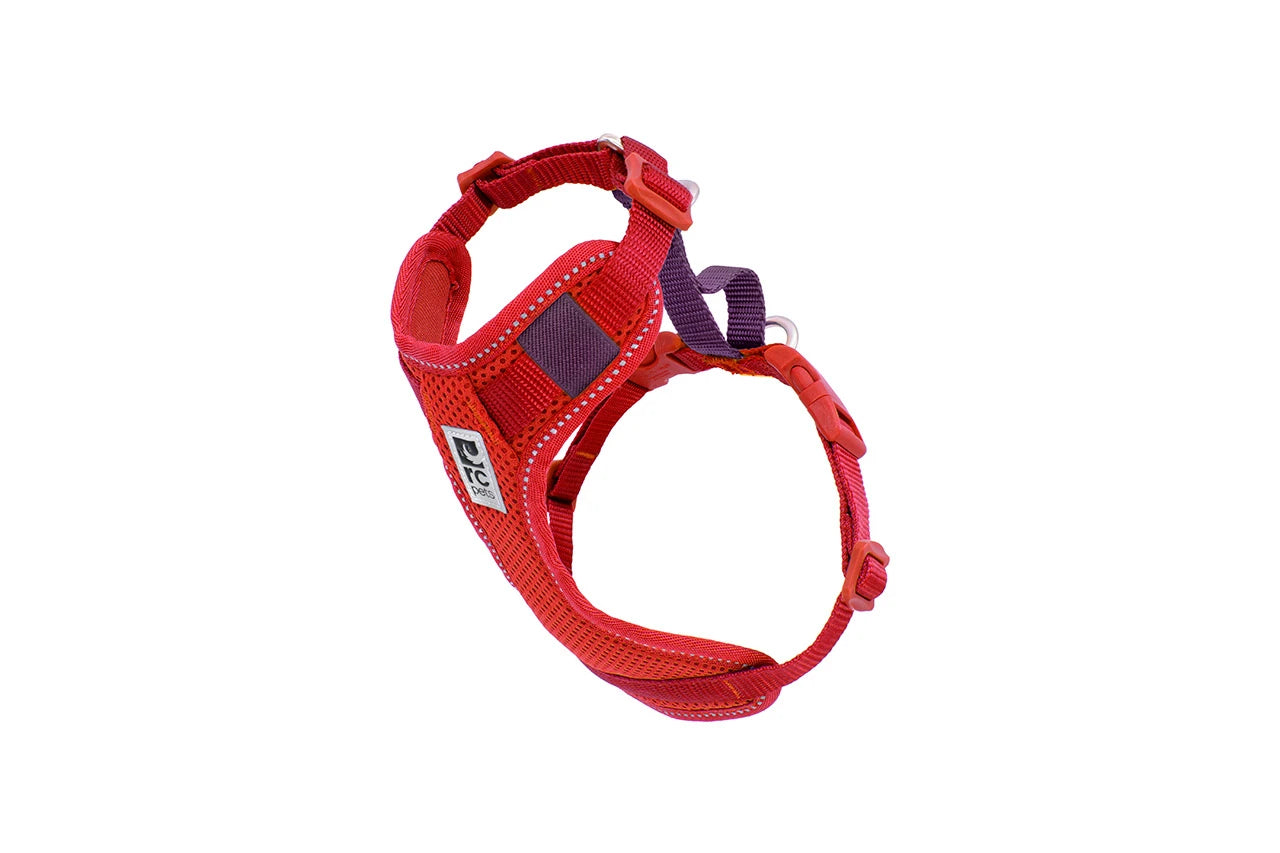 RC Pets - Dog - Moto Control Harness Goji Berry/Burgundy