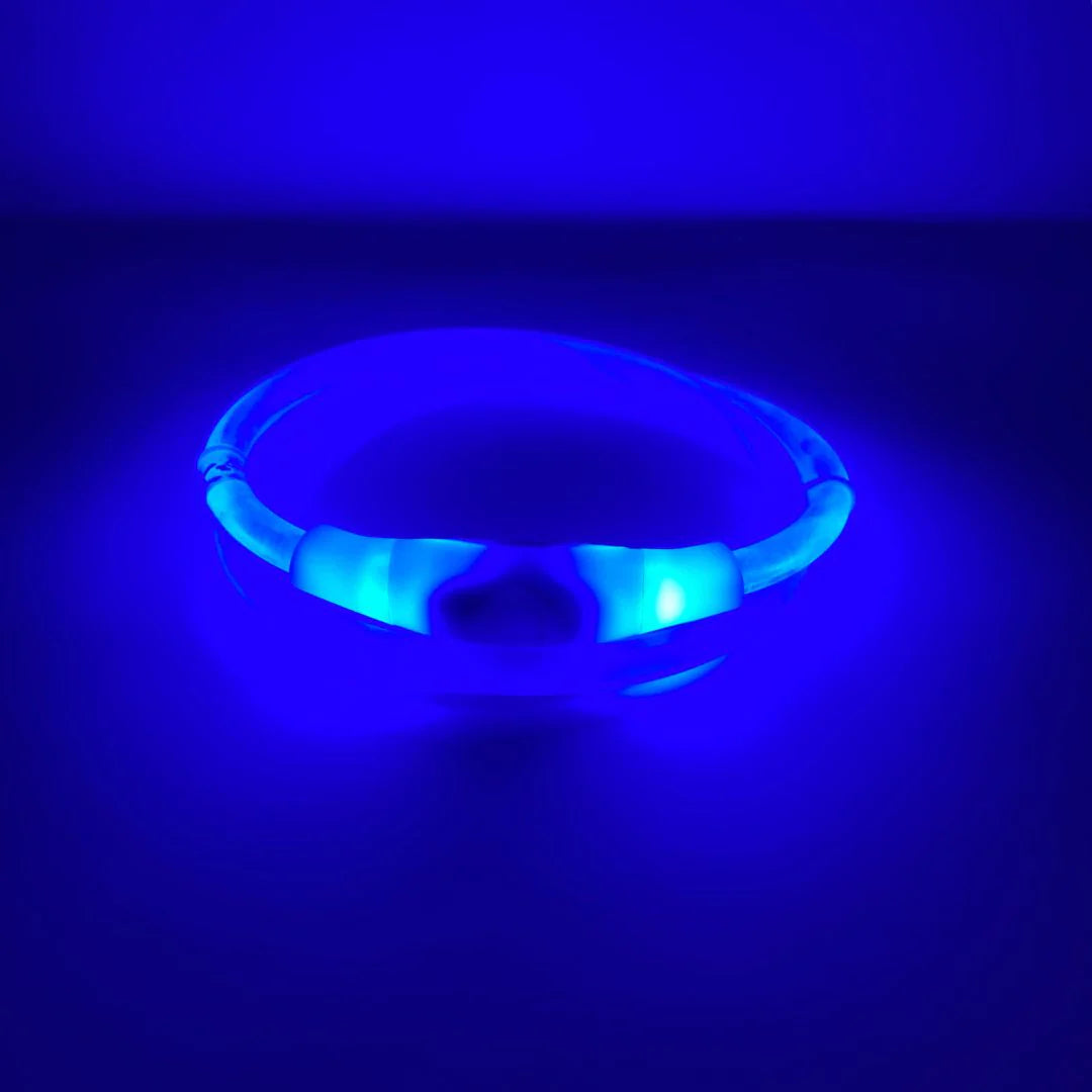 Rocky Mountain Dog - Dog - Collar Led Beacon Blue