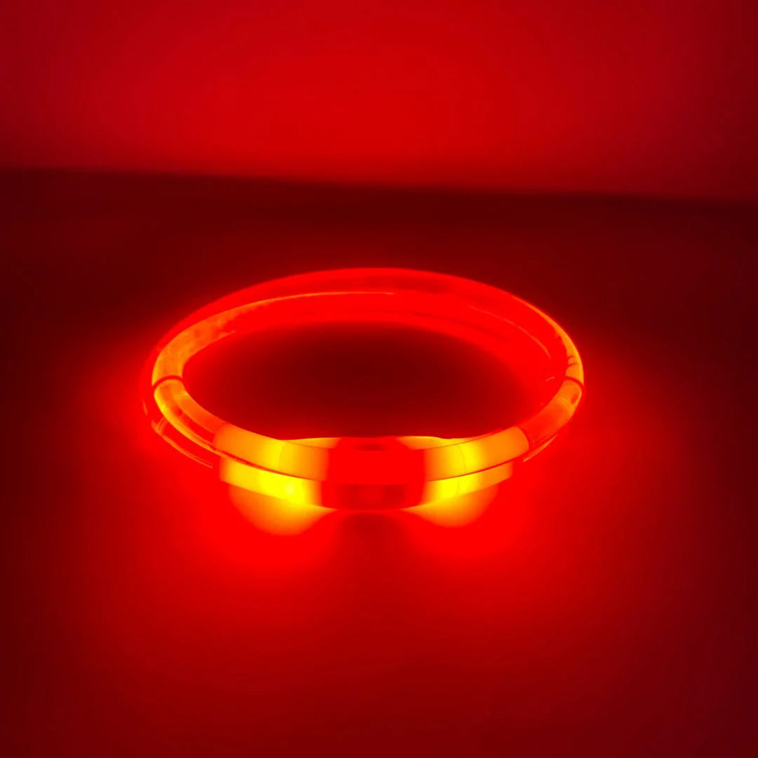 Rocky Mountain Dog - Dog - Collar - Led Beacon Red
