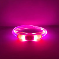 Rocky Mountain Dog - Dog - Collar Led Beacon Pink