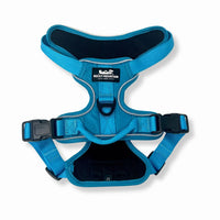 Rocky Mountain Dog - Dog - Harness Summit All Terrain Blue
