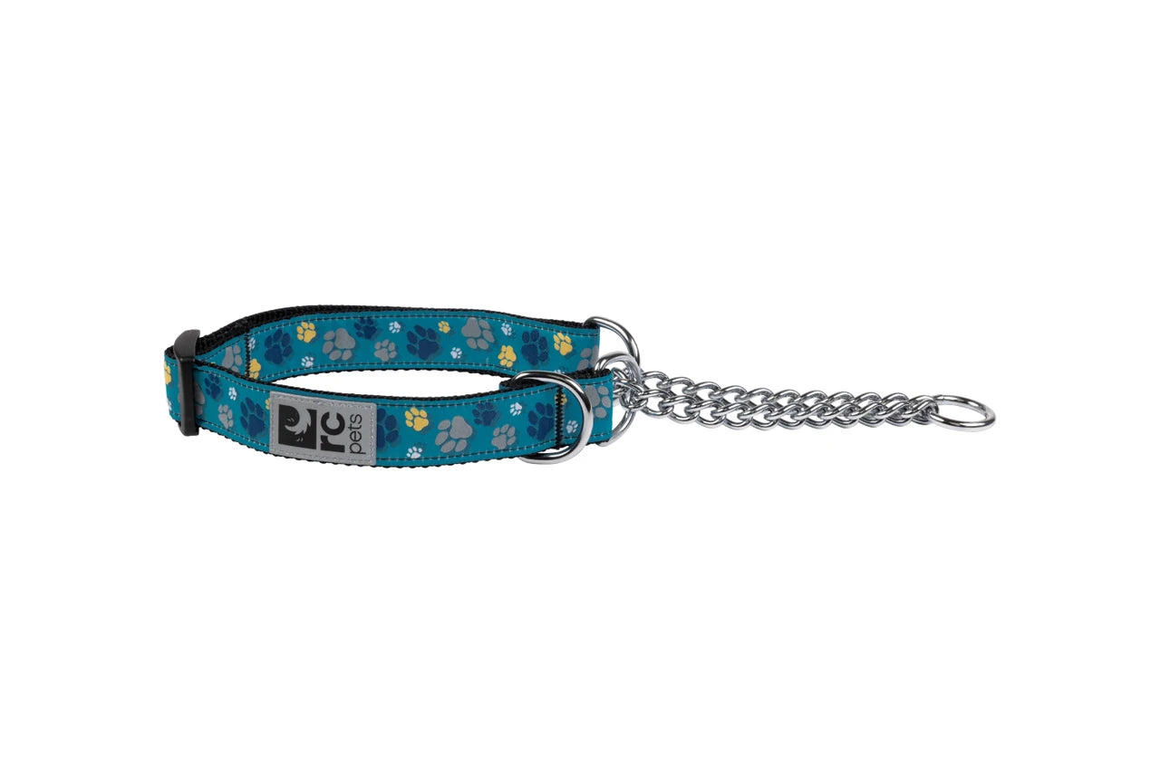 RC Pets - Dog - Training Collar Fresh Tracks Teal