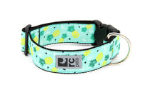 RC Pets - Dog - Wide Collar Pineapple Parade