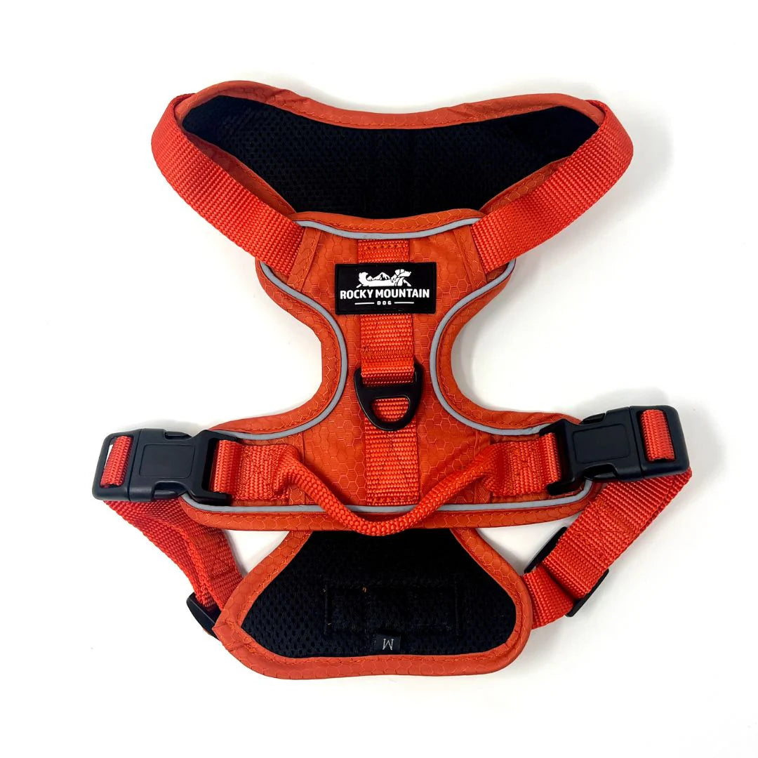 Rocky Mountain Dog - Dog - Harness Summit All Terrain Orange
