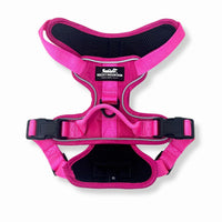 Rocky Mountain Dog - Dog - Harness Summit All Terrain Pink