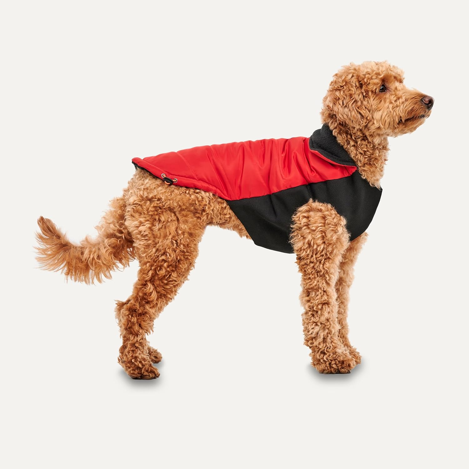 Goo-eez - Dog - Mock Neck Signature Jacket Red/Black