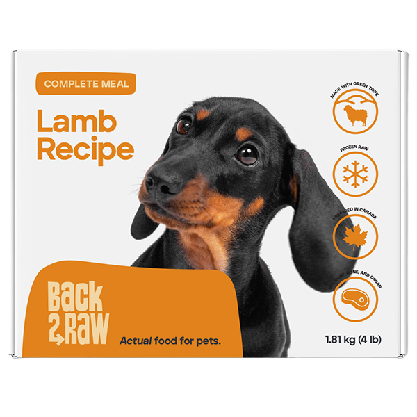 Back2Raw - Dog - Complete Lamb