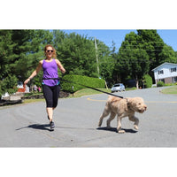 BüD'z - Dog - Running Leash Black