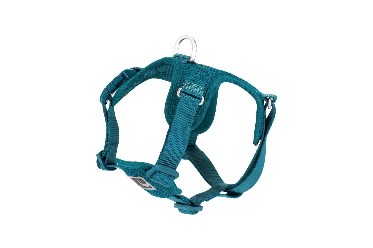 RC Pets - Dog - Forte Step In Harness Dark Teal