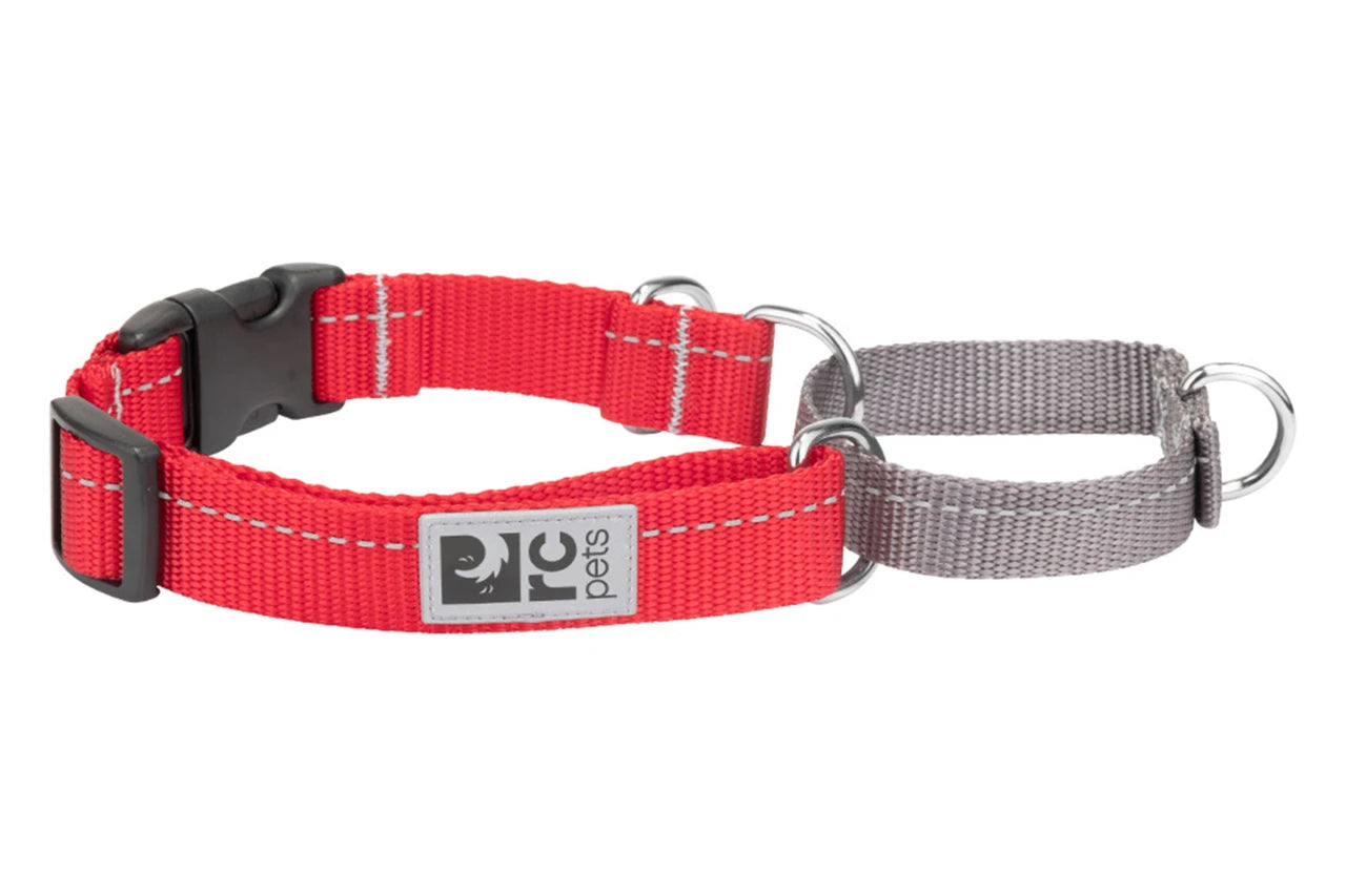 RC Pets - Dog - Primary Web Training Clip Collar Red