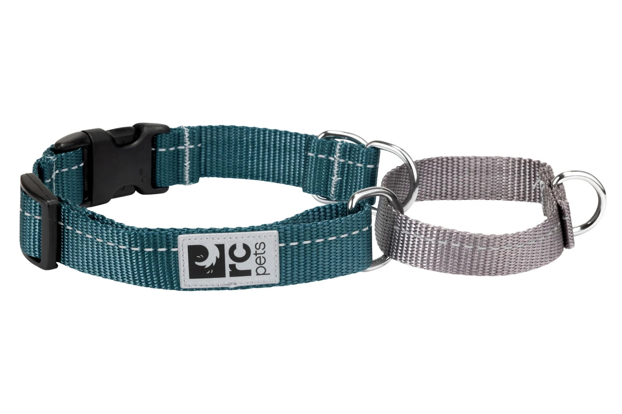 RC Pets - Dog - Primary Web Training Clip Collar Dark Teal