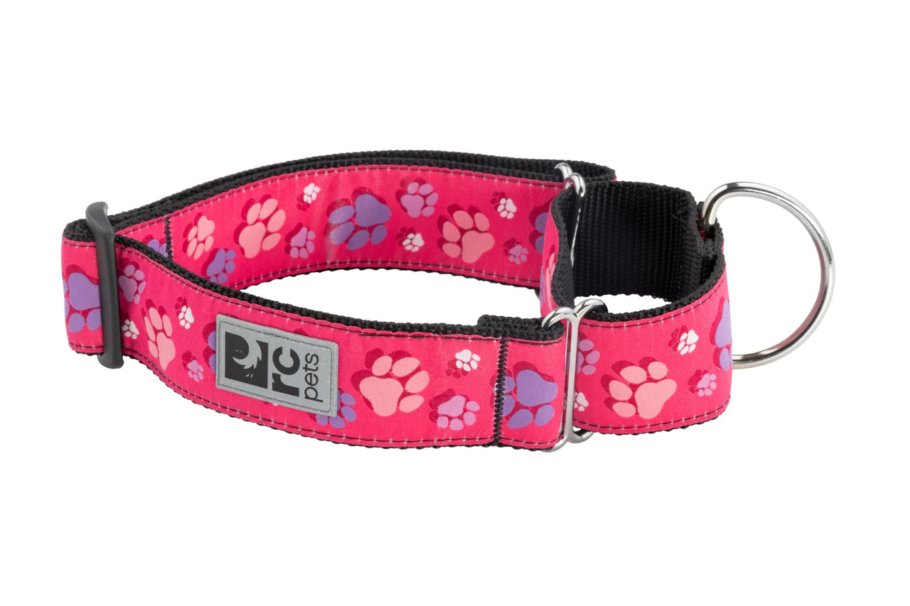 RC Pets - Dog - All Webbing Training Collar Fresh Tracks Pink