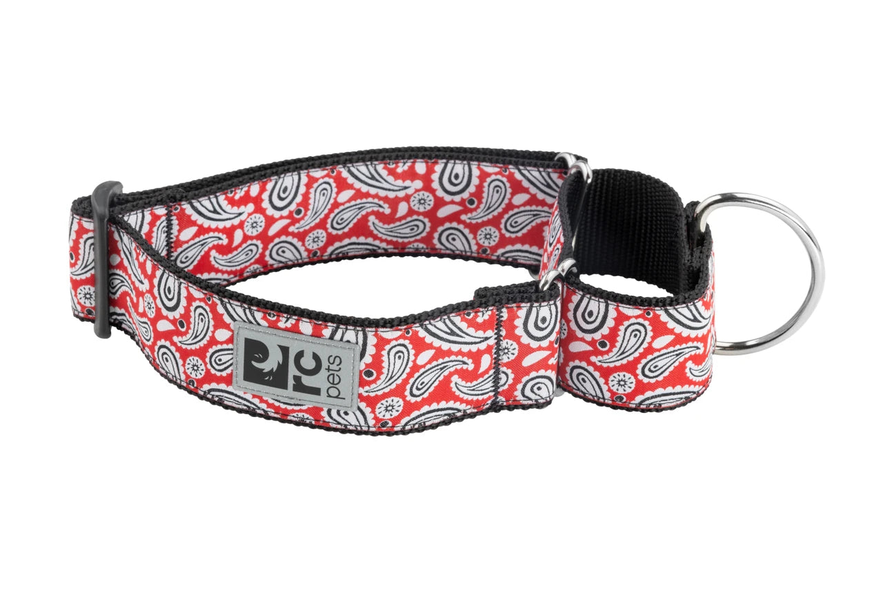 RC Pets - Dog - All Webbing Training Collar Rebel Red