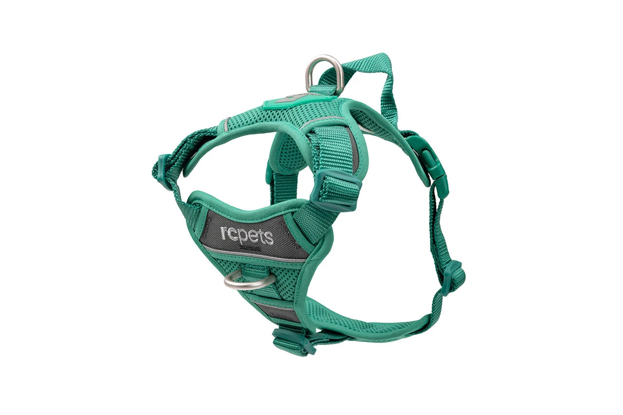 RC Pets - Dog - Momentum Harness Parakeet