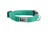 RC Pets - Dog - Primary Collar Parakeet