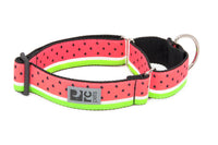 RC Pets - Dog - All Webbing Training Collar Watermelon