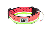 RC Pets - Dog - Wide Collar Watermelon