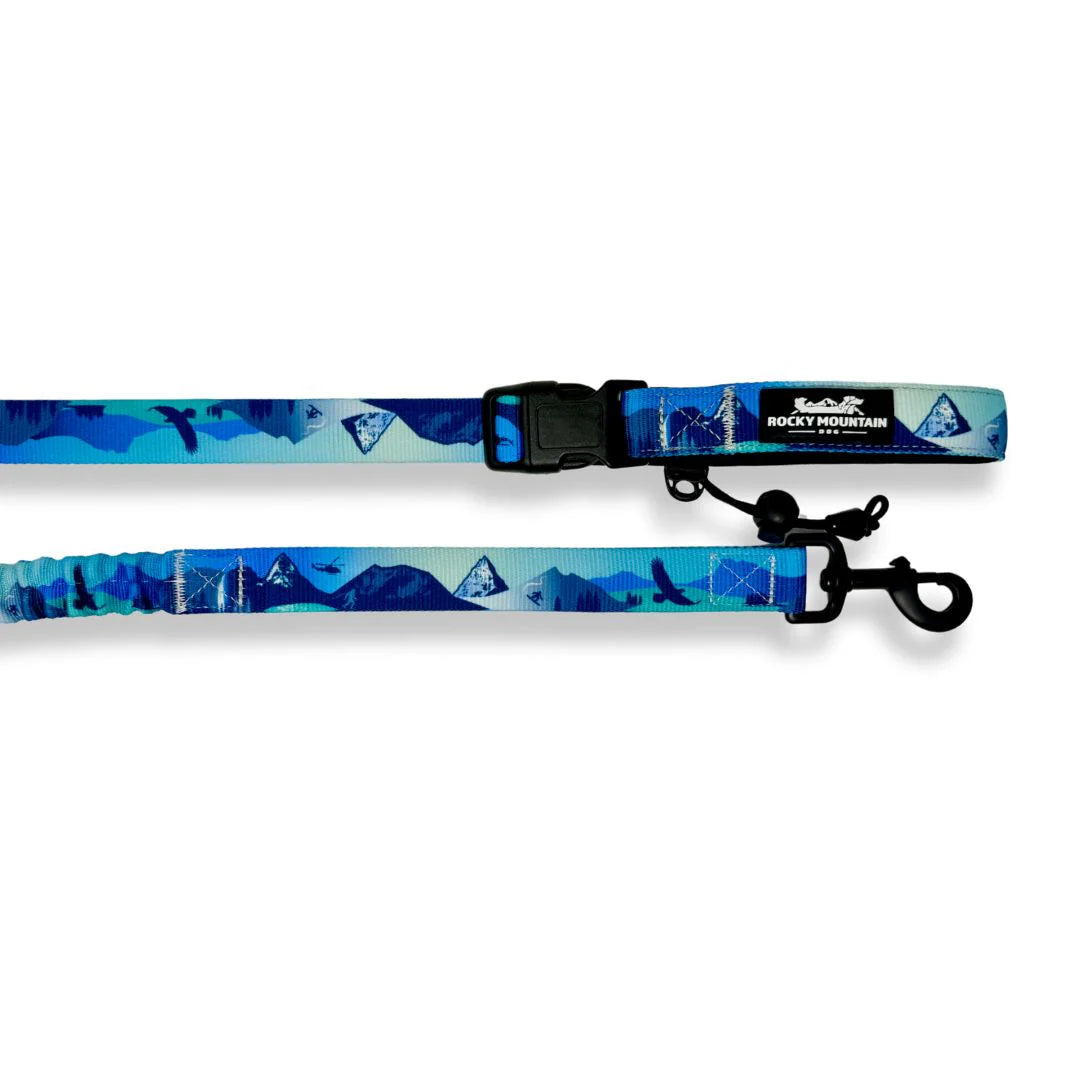 Rocky Mountain Dog - Dog - Leash All Mountain Winter