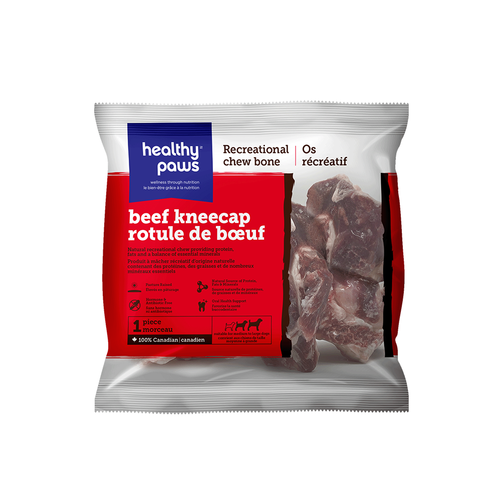 Healthy Paws - Dog - Frozen Raw Recreational Beef Kneecap