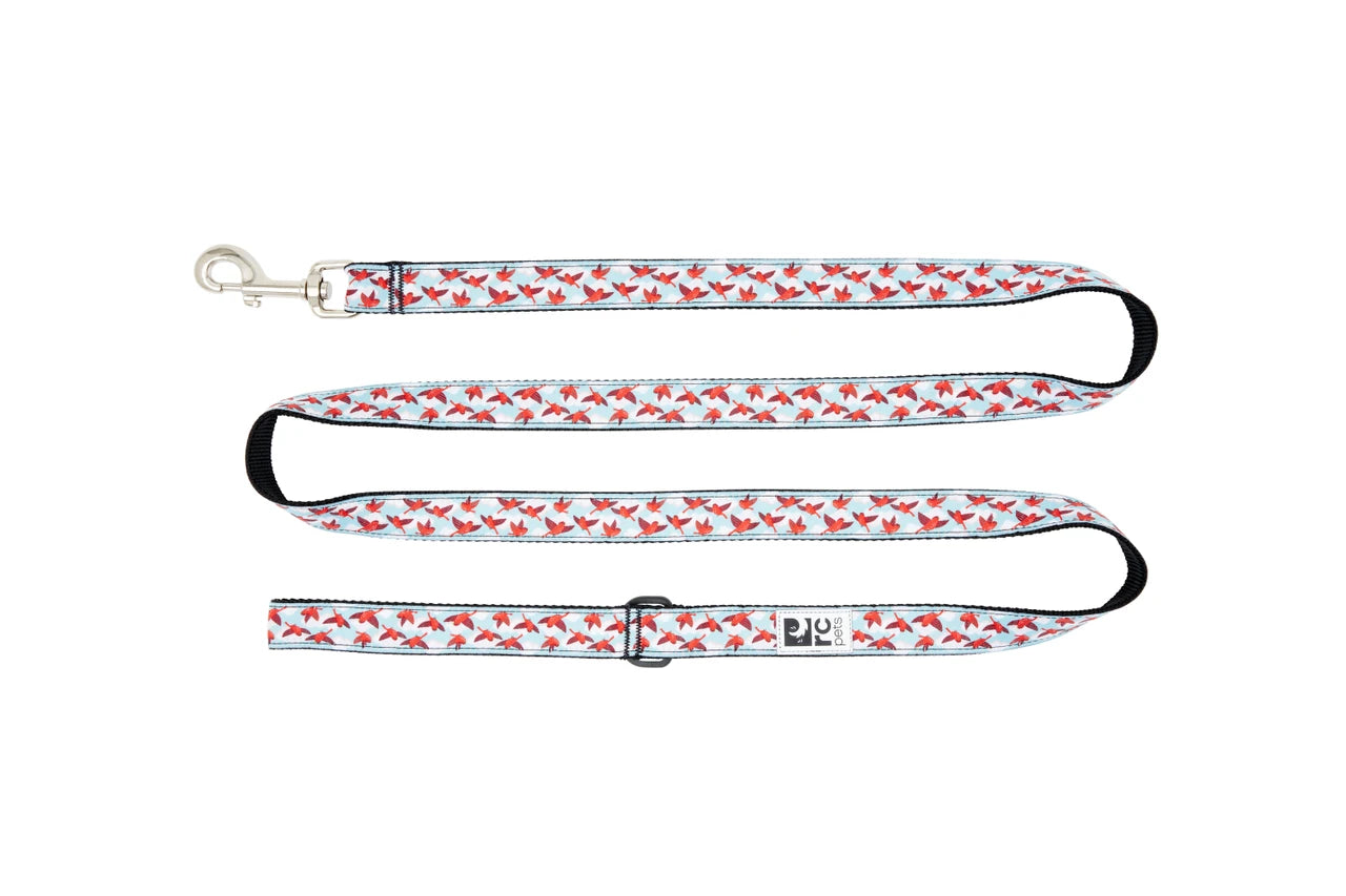 RC Pets - Dog - Leash In the Clouds