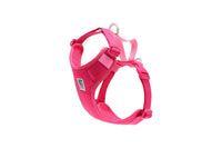 RC Pets - Dog - Moto Control Harness Azalea/Peony