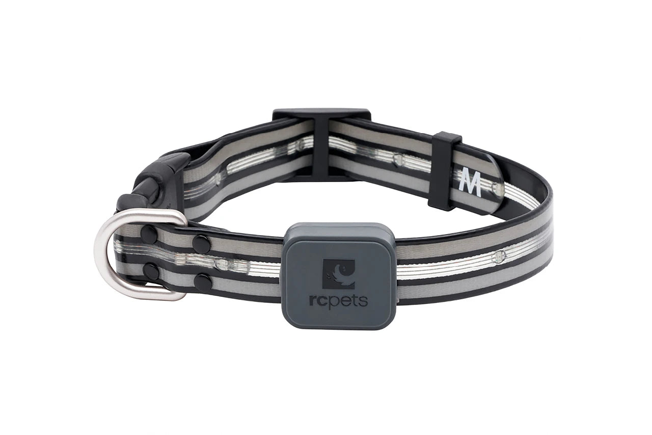 RC Pets - Dog - Nova LED Light Collar Black