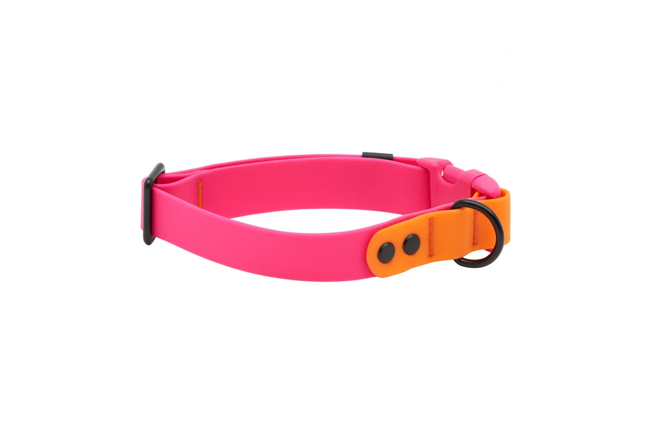 RC Pets - Dog - Waterproof Collar Azalea/Orange