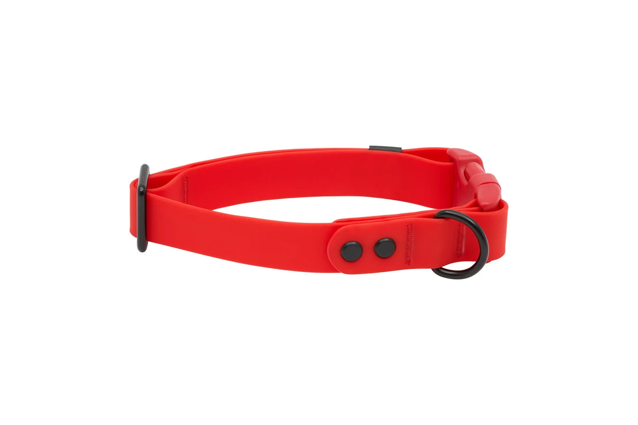 RC Pets - Dog - Waterproof Collar Red
