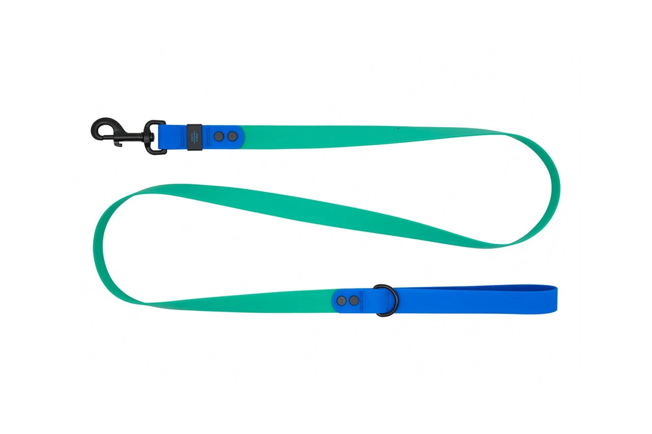 RC Pets - Dog - Waterproof Leash Parakeet/Sapphire