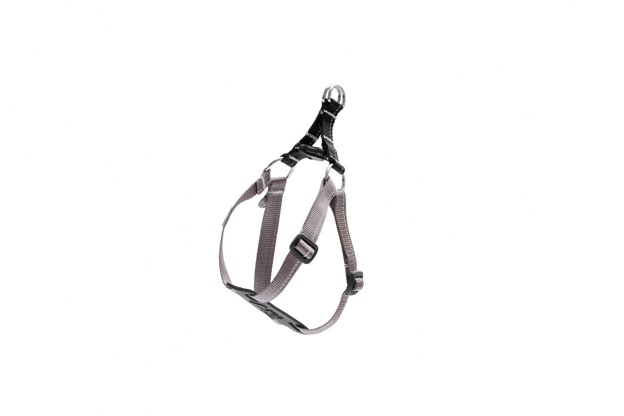 RC Pets - Dog - Petite Primary Step In Harness Black