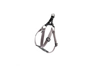 RC Pets - Dog - Petite Primary Step In Harness Black