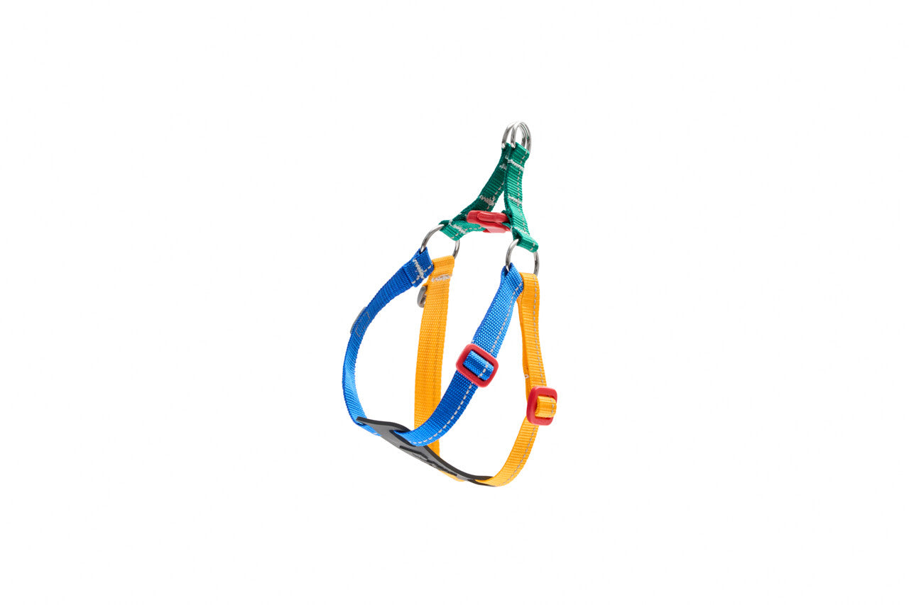RC Pets - Dog - Petite Primary Step In Harness Jel Bean