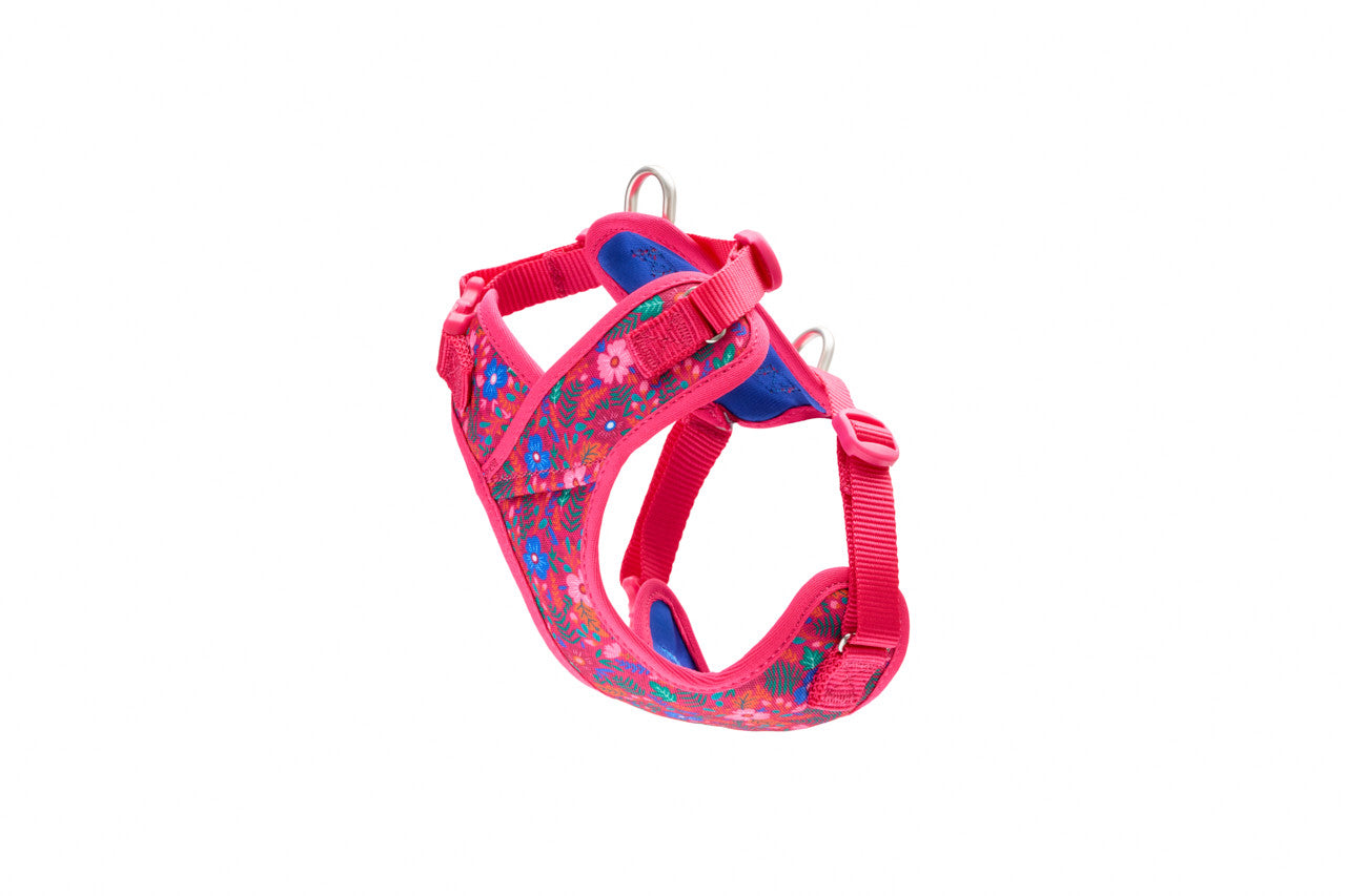 RC Pets - Dog - Petite Explorer Harness Frida