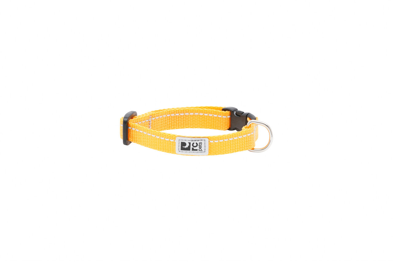 RC Pets - Dog - Petite Primary Collar Marigold
