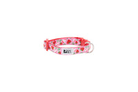 RC Pets - Dog - Petite Collar Strawberries