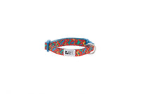 RC Pets - Dog - Petite Collar Jurassic Pack