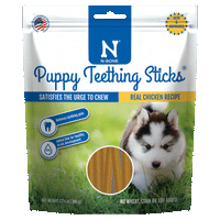 N-Bone - Dog - Puppy Teething Sticks Chicken