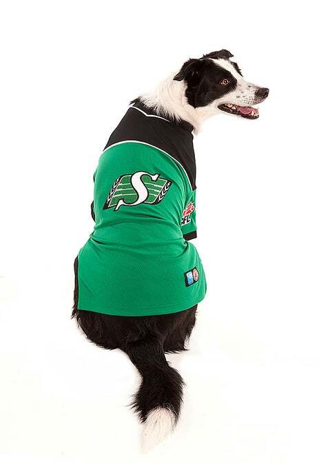 Karsuh - Dog - CFL Pet Jersey Saskatchewan Roughriders