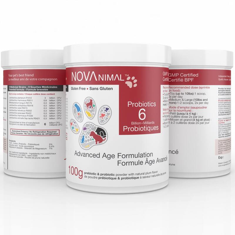 NOVAnimal - Dog - Advanced Age Formulation 4B Probiotics/Scoop