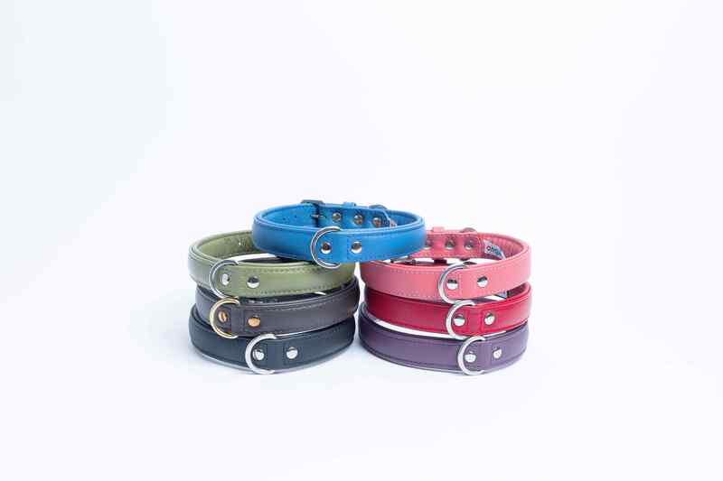 Angel - Dog - Alpine Plain Collar Valentine Red