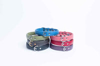 Angel - Dog - Alpine Plain Collar Cobalt Blue