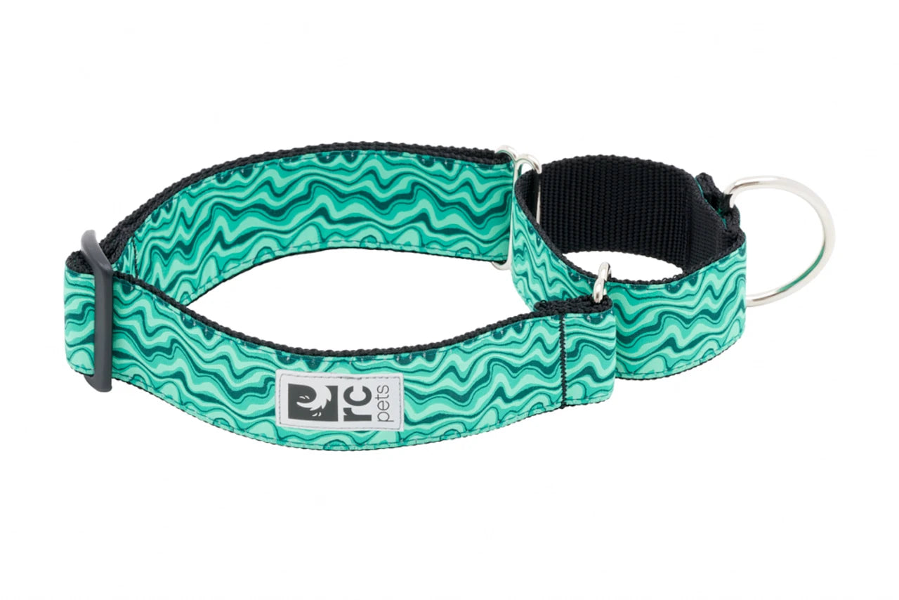 RC Pets - Dog - All Webbing Training Collar Gemstone